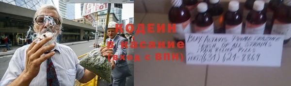 шишки Абинск