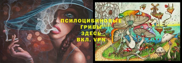 крисы Алексин